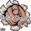 Just Know (feat. GetMoneyMark) - Single album lyrics, reviews, download