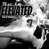 Elevated - Single album lyrics, reviews, download