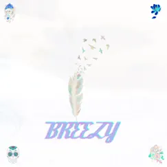 Breezy - Single by Ocean album reviews, ratings, credits