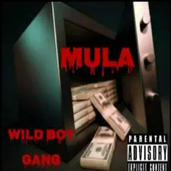 Mula - Single by THE Chosen ONE album reviews, ratings, credits