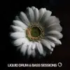 Liquid Drum and Bass Sessions 2019 Vol 2 album lyrics, reviews, download