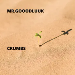 Crumbs - Single by Mr.Gooodluuk album reviews, ratings, credits