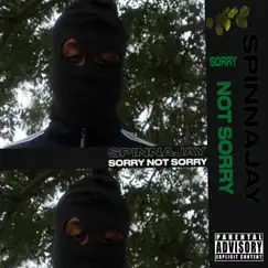 Sorry Not Sorry - Single by SpinnaJay album reviews, ratings, credits