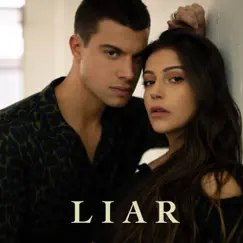 Liar (feat. Davina Leone) Song Lyrics