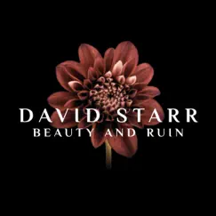 Beauty and Ruin - Single by David Starr album reviews, ratings, credits