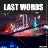 Last Words (feat. Düiz) - Single album lyrics, reviews, download