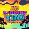 No Badmind Ting - Single album lyrics, reviews, download