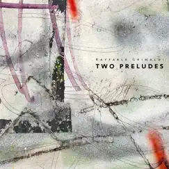 Two Preludes - EP by Raffaele Grimaldi album reviews, ratings, credits