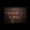 Checking a Bag (feat. Jay Cee) - Single album lyrics, reviews, download