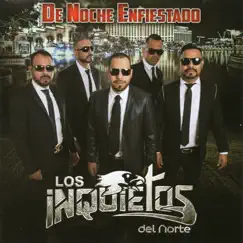 De Noche Enfiestado by Los Inquietos del Norte album reviews, ratings, credits