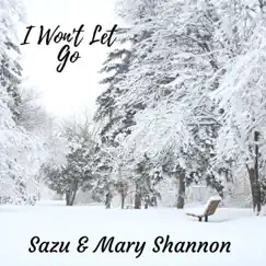 I Won't Let Go - Single by Sazu & Mary Shannon album reviews, ratings, credits