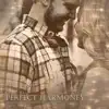 Perfect Harmony (feat. Hannah Schaefer) - Single album lyrics, reviews, download