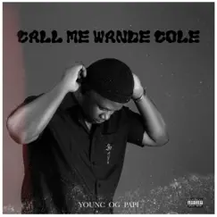 Call Me Wande Cole - Single by YOUNG OG PAPI album reviews, ratings, credits