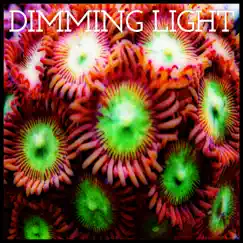 Dimming Light Song Lyrics