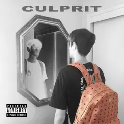 Culprit (feat. Burberry Rem) Song Lyrics