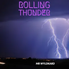 Rolling Thunder - Single by Mr. Wyldkard album reviews, ratings, credits