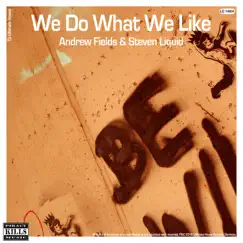 We Do What We Like (Extended Mix) Song Lyrics