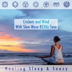 Spirituality Releases Slow Wave 852Hz Song Lyrics