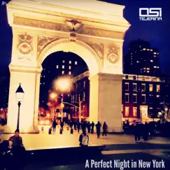 A Perfect Night in New York - Single by Osi Tejerina album reviews, ratings, credits