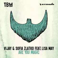 Are You Magic (feat. Lisa May) - Single by Vijay & Sofia Zlatko album reviews, ratings, credits