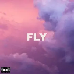 Fly - Single by Cxtotheworld album reviews, ratings, credits