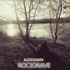 RocioRave - Single by AudioDark album reviews, ratings, credits