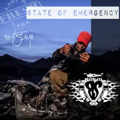 State of Emergency Song Lyrics