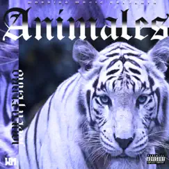 Animales Song Lyrics