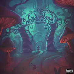Wonderland - Single by BigBankk2x album reviews, ratings, credits