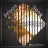 Prison Song - Single album lyrics, reviews, download