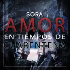 Amor en Tiempos de Cuarentena - Single by SoRa album reviews, ratings, credits