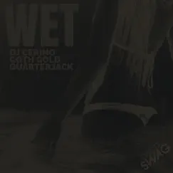 Wet Song Lyrics