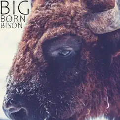 Big Born Bison - Single by Georgisound album reviews, ratings, credits