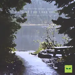 Rain and Light Thunder Sounds at the Lake Song Lyrics
