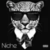 Niche (feat. Skinnyfromthe9) - Single album lyrics, reviews, download