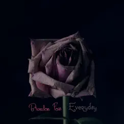 Everyday - Single by Brandon Fox album reviews, ratings, credits