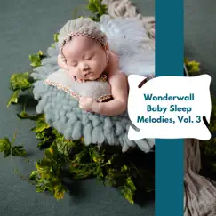 Wonderwall Baby Sleep Melodies, Vol. 3 by Various Artists album reviews, ratings, credits