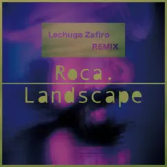 Landscape (Lechuga Zafiro Remix) [feat. Lechuga Zafiro] Song Lyrics