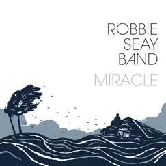 Miracle (Deluxe Edition) by Robbie Seay Band album reviews, ratings, credits