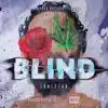 Blind - Single album lyrics, reviews, download