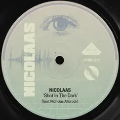 Shot in the Dark (feat. Nicholas Allbrook) - Single by NICOLAAS album reviews, ratings, credits