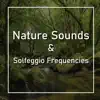 Nature Sounds and Solfeggio Frequencies album lyrics, reviews, download