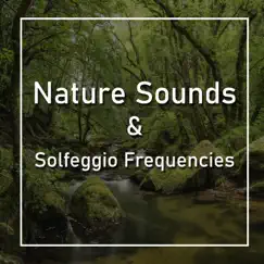 Rain Thunder and Solfeggio 528 Hz Song Lyrics