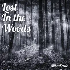 Lost in the Woods (Instrumental) - Single by Mika Krstic album reviews, ratings, credits