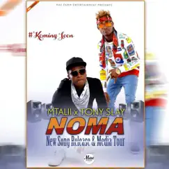 Noma (feat. Mtalii) - Single by Tony Slay album reviews, ratings, credits