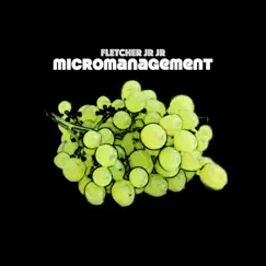 Micromanagement by FLETCHER Jr Jr album reviews, ratings, credits