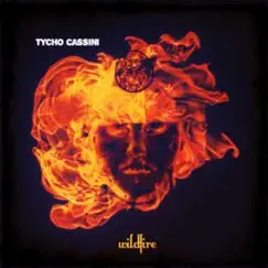 Wildfire - Single by Tycho.44 album reviews, ratings, credits