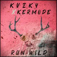 Run Wild (feat. Tej) Song Lyrics