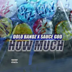 How Much - Single by Dolo Bandz & Sauce God album reviews, ratings, credits