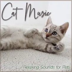 Cat Music : Relaxing Sounds for Pets by RelaxMyCat, Cat Music Dreams & Cat Music Therapy album reviews, ratings, credits